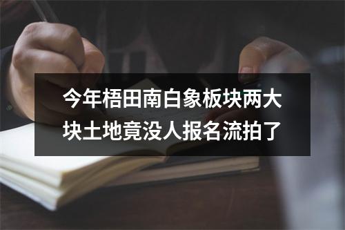 今年梧田南白象板块两大块土地竟没人报名流拍了