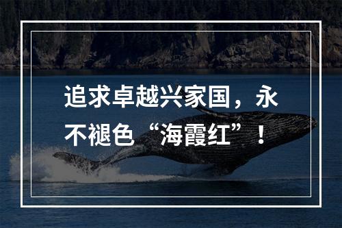 追求卓越兴家国，永不褪色“海霞红”！