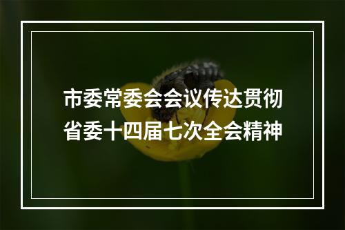 市委常委会会议传达贯彻省委十四届七次全会精神