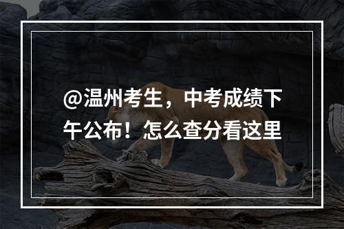 @温州考生，中考成绩下午公布！怎么查分看这里