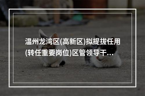 温州龙湾区(高新区)拟提拔任用(转任重要岗位)区管领导干部任前公示