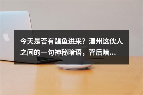 今天是否有鲳鱼进来？温州这伙人之间的一句神秘暗语，背后暗藏5亿走私大案