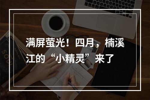 满屏萤光！四月，楠溪江的“小精灵”来了