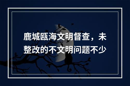 鹿城瓯海文明督查，未整改的不文明问题不少