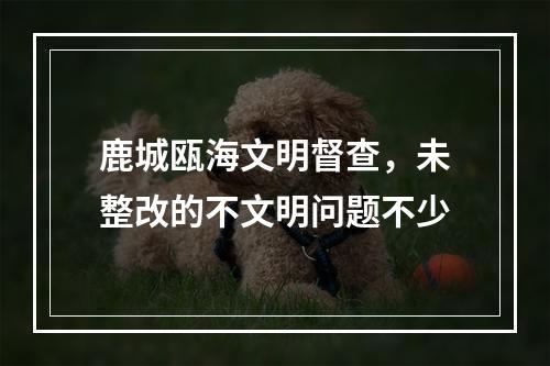 鹿城瓯海文明督查，未整改的不文明问题不少