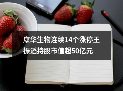 康华生物连续14个涨停王振滔持股市值超50亿元