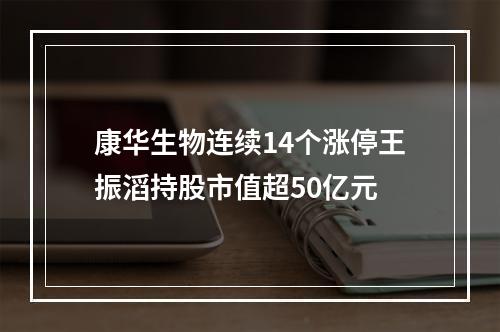 康华生物连续14个涨停王振滔持股市值超50亿元
