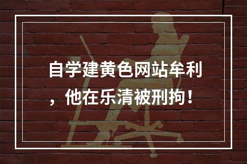 自学建黄色网站牟利，他在乐清被刑拘！