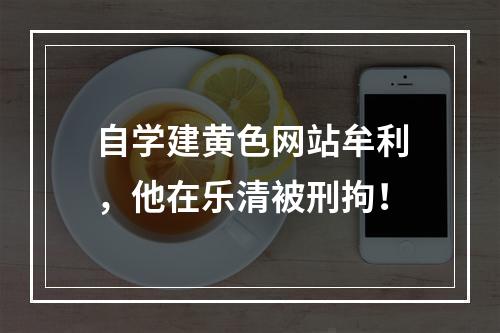 自学建黄色网站牟利，他在乐清被刑拘！
