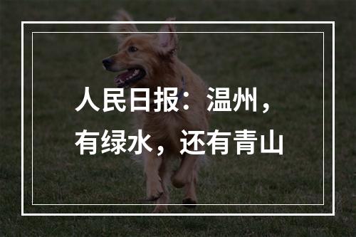 人民日报：温州，有绿水，还有青山