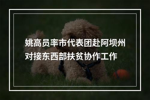 姚高员率市代表团赴阿坝州对接东西部扶贫协作工作