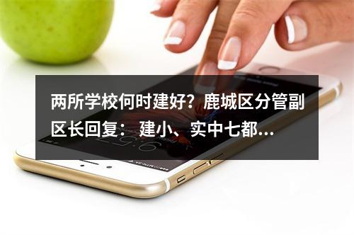 两所学校何时建好？鹿城区分管副区长回复： 建小、实中七都分校2022年底竣工验收