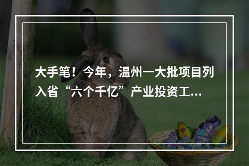 大手笔！今年，温州一大批项目列入省“六个千亿”产业投资工程实施计划