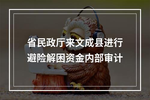 省民政厅来文成县进行避险解困资金内部审计