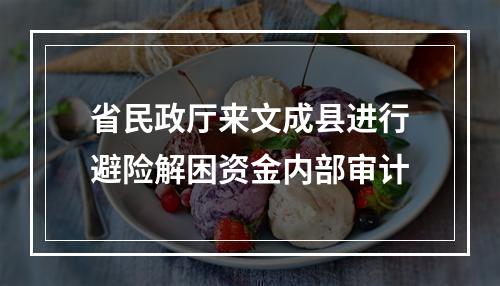 省民政厅来文成县进行避险解困资金内部审计