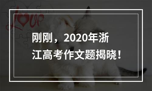 刚刚，2020年浙江高考作文题揭晓！