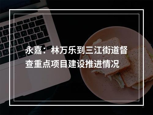 永嘉：林万乐到三江街道督查重点项目建设推进情况