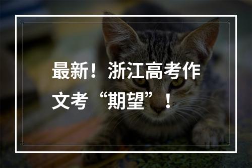 最新！浙江高考作文考“期望”！
