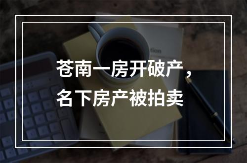 苍南一房开破产，名下房产被拍卖