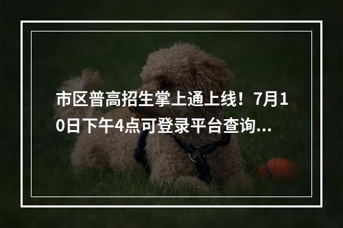 市区普高招生掌上通上线！7月10日下午4点可登录平台查询中考成绩