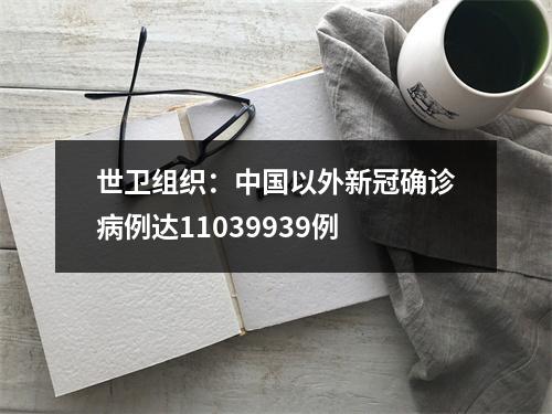 世卫组织：中国以外新冠确诊病例达11039939例