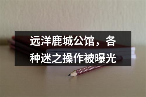 远洋鹿城公馆，各种迷之操作被曝光