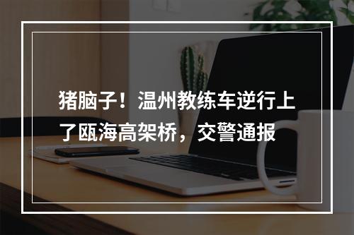 猪脑子！温州教练车逆行上了瓯海高架桥，交警通报