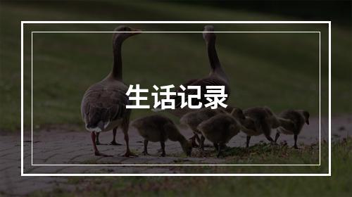 生话记录