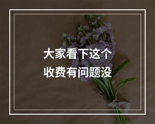 大家看下这个收费有问题没
