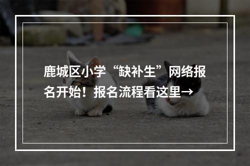鹿城区小学“缺补生”网络报名开始！报名流程看这里→