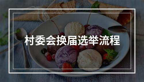 村委会换届选举流程