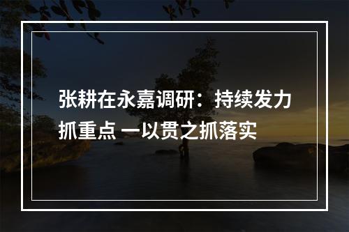 张耕在永嘉调研：持续发力抓重点 一以贯之抓落实