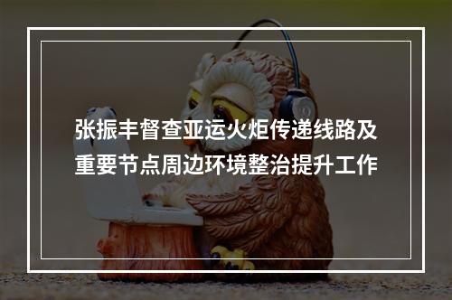 张振丰督查亚运火炬传递线路及重要节点周边环境整治提升工作