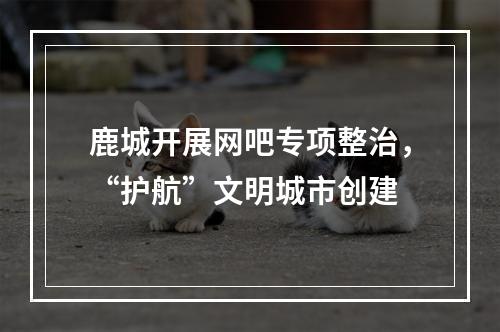 鹿城开展网吧专项整治，“护航”文明城市创建