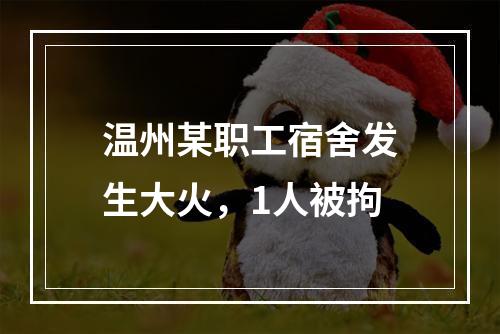 温州某职工宿舍发生大火，1人被拘