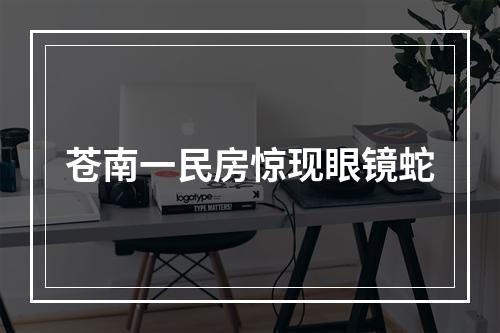 苍南一民房惊现眼镜蛇