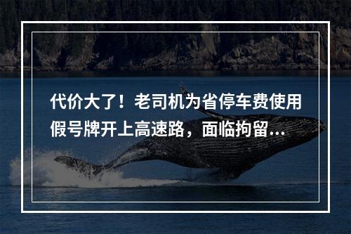 代价大了！老司机为省停车费使用假号牌开上高速路，面临拘留罚款