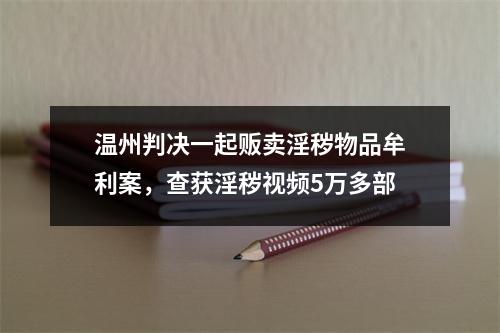 温州判决一起贩卖淫秽物品牟利案，查获淫秽视频5万多部