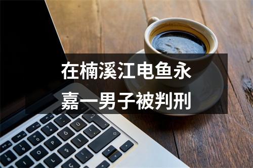 在楠溪江电鱼永嘉一男子被判刑