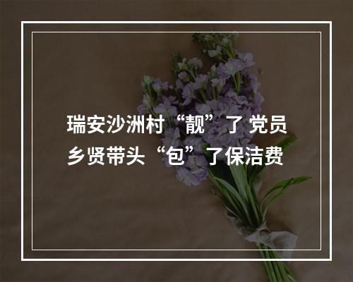 瑞安沙洲村“靓”了 党员乡贤带头“包”了保洁费