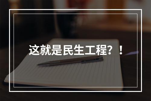 这就是民生工程？！