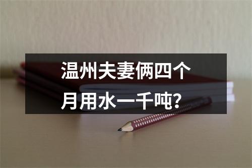 温州夫妻俩四个月用水一千吨？