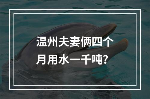 温州夫妻俩四个月用水一千吨？