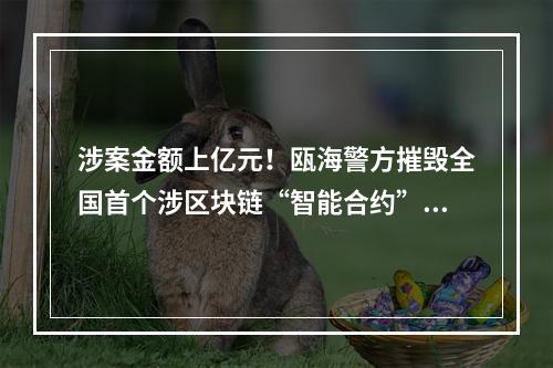 涉案金额上亿元！瓯海警方摧毁全国首个涉区块链“智能合约”技术犯罪团伙