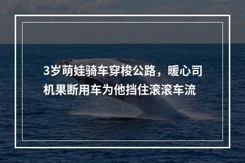 3岁萌娃骑车穿梭公路，暖心司机果断用车为他挡住滚滚车流