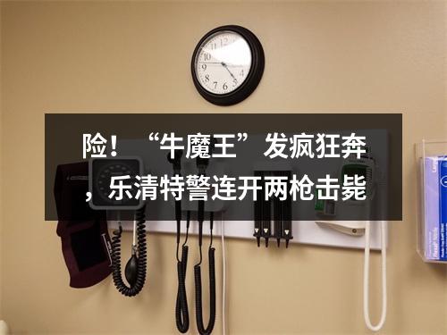 险！“牛魔王”发疯狂奔，乐清特警连开两枪击毙