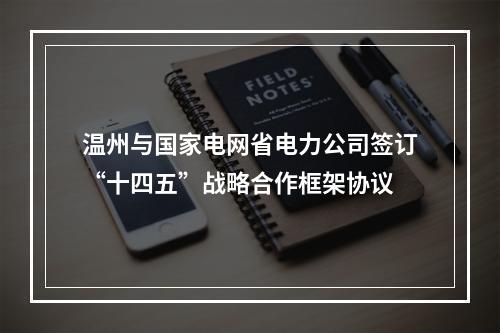 温州与国家电网省电力公司签订“十四五”战略合作框架协议