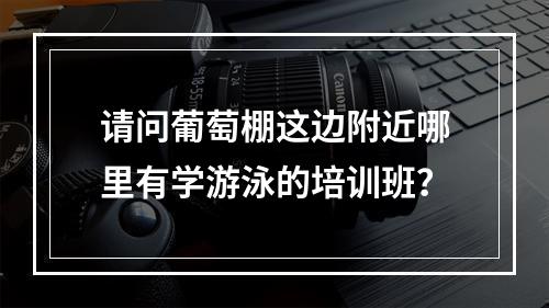 请问葡萄棚这边附近哪里有学游泳的培训班？