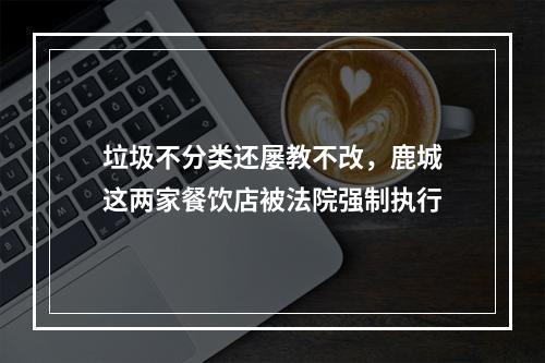 垃圾不分类还屡教不改，鹿城这两家餐饮店被法院强制执行