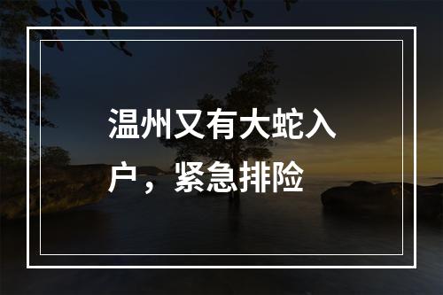温州又有大蛇入户，紧急排险